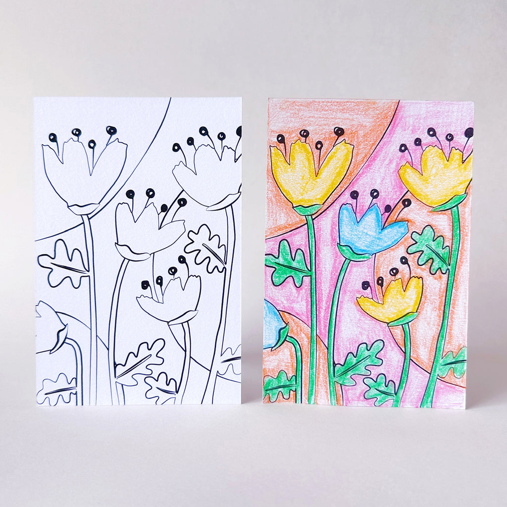 Poppy flowers color-in postcards