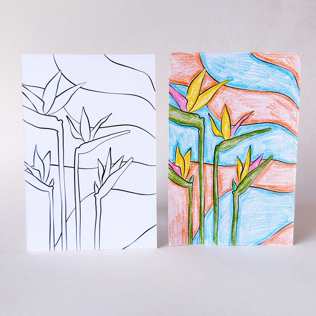 Birds of paradise plant color-in postcards