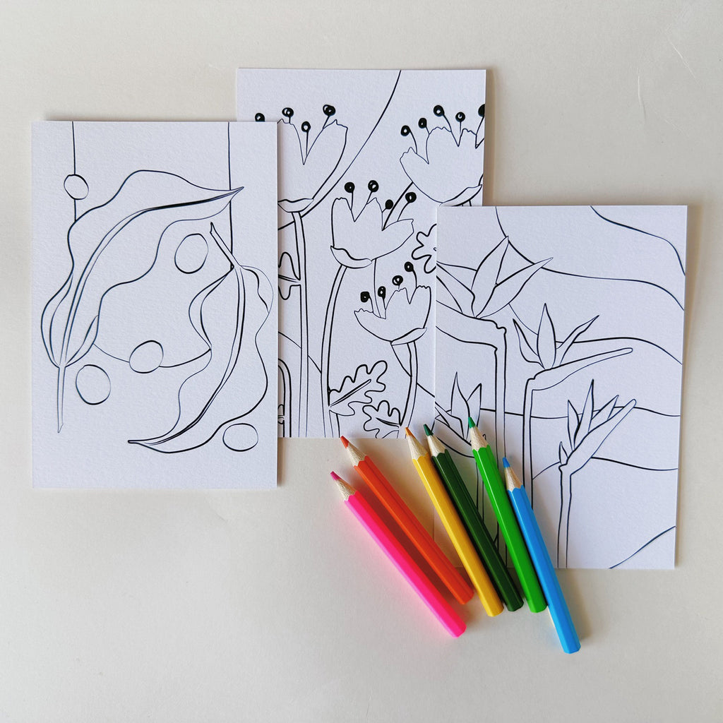 Floral color-in postcards with pencils